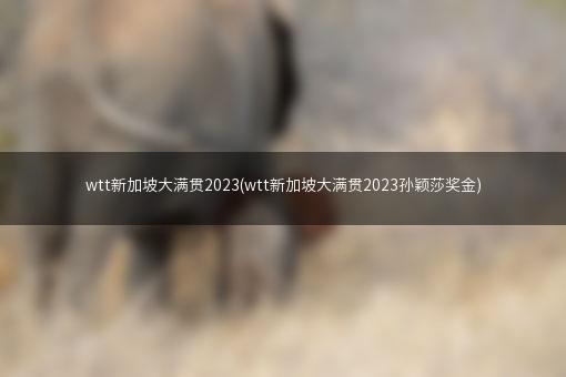 wtt新加坡大满贯2023(wtt新加坡大满贯2023孙颖莎奖金)