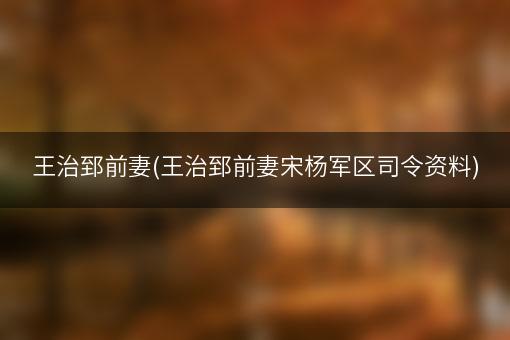 王治郅前妻(王治郅前妻宋杨军区司令资料)