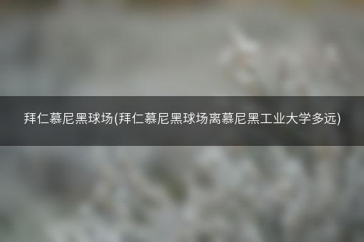 拜仁慕尼黑球场(拜仁慕尼黑球场离慕尼黑工业大学多远)