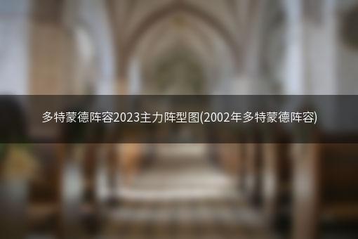 多特蒙德阵容2023主力阵型图(2002年多特蒙德阵容)