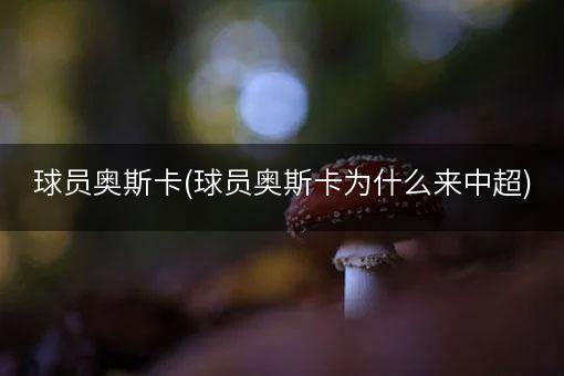 球员奥斯卡(球员奥斯卡为什么来中超)