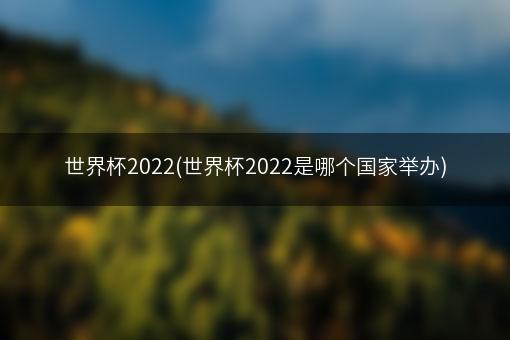 世界杯2022(世界杯2022是哪个国家举办)