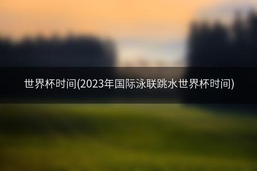 世界杯时间(2023年国际泳联跳水世界杯时间)