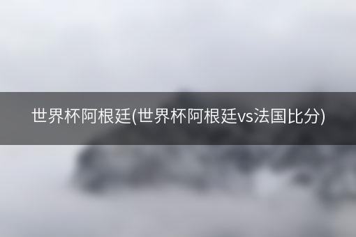 世界杯阿根廷(世界杯阿根廷vs法国比分)