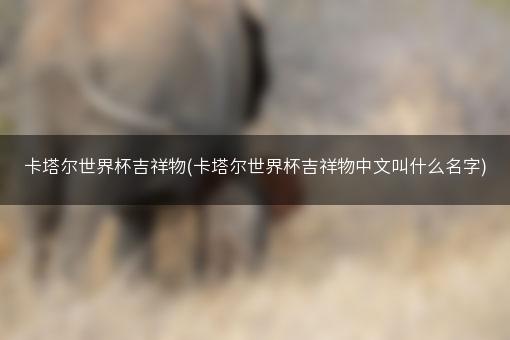 卡塔尔世界杯吉祥物(卡塔尔世界杯吉祥物中文叫什么名字)