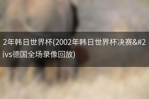 2002年韩日世界杯(2002年韩日世界杯决赛巴西vs德国全场录像回放)