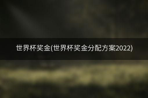 世界杯奖金(世界杯奖金分配方案2022)