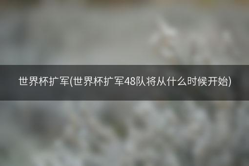 世界杯扩军(世界杯扩军48队将从什么时候开始)