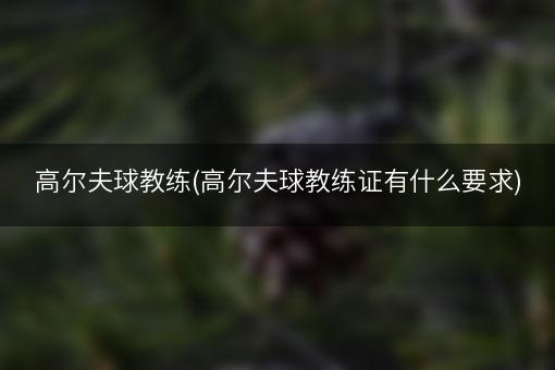 高尔夫球教练(高尔夫球教练证有什么要求)