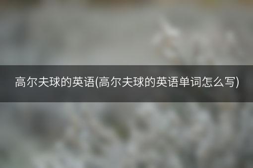 高尔夫球的英语(高尔夫球的英语单词怎么写)