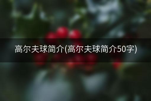 高尔夫球简介(高尔夫球简介50字)