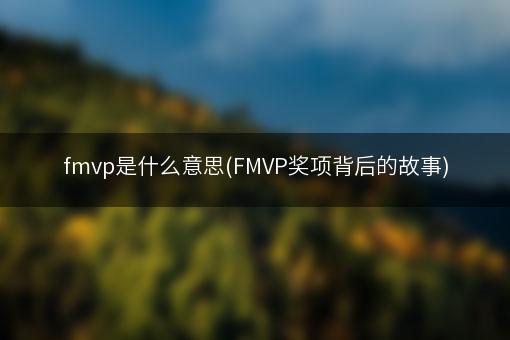 fmvp是什么意思(FMVP奖项背后的故事)