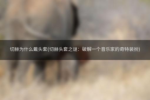 切赫为什么戴头套(切赫头套之谜：破解一个音乐家的奇特装扮)