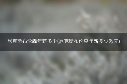 尼克斯布伦森年薪多少(尼克斯布伦森年薪多少欧元)