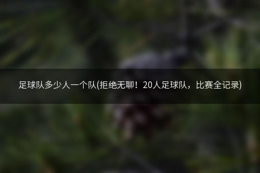 足球队多少人一个队(拒绝无聊！20人足球队，比赛全记录)