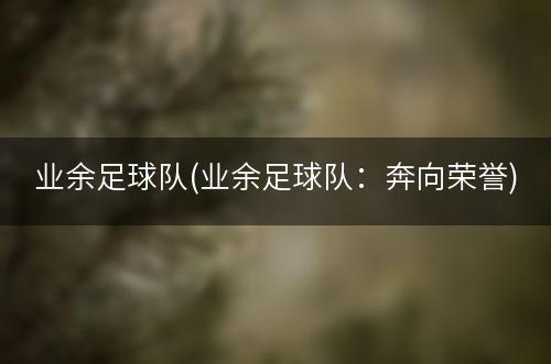 业余足球队(业余足球队：奔向荣誉)