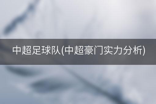 中超足球队(中超豪门实力分析)