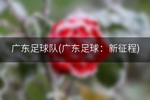 广东足球队(广东足球：新征程)