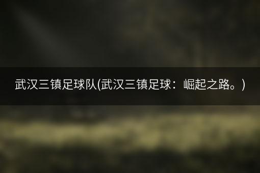 武汉三镇足球队(武汉三镇足球：崛起之路。)