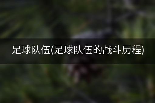 足球队伍(足球队伍的战斗历程)