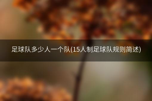 足球队多少人一个队(15人制足球队规则简述)