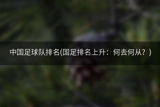 中国足球队排名(国足排名上升：何去何从？)