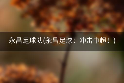 永昌足球队(永昌足球：冲击中超！)