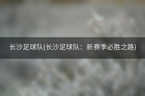 长沙足球队(长沙足球队：新赛季必胜之路)