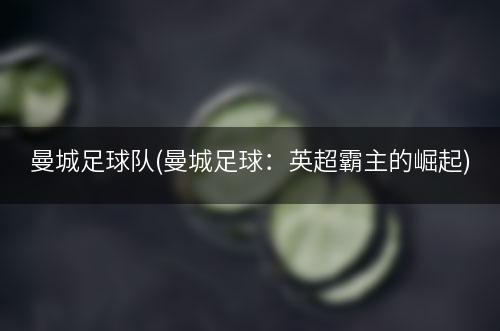 曼城足球队(曼城足球：英超霸主的崛起)