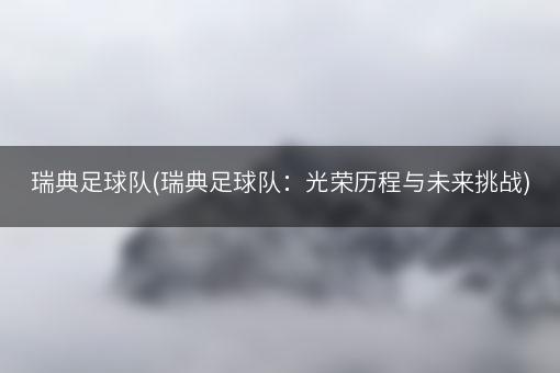 瑞典足球队(瑞典足球队：光荣历程与未来挑战)