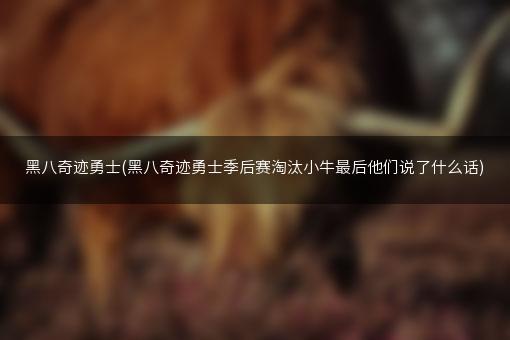 黑八奇迹勇士(黑八奇迹勇士季后赛淘汰小牛最后他们说了什么话)