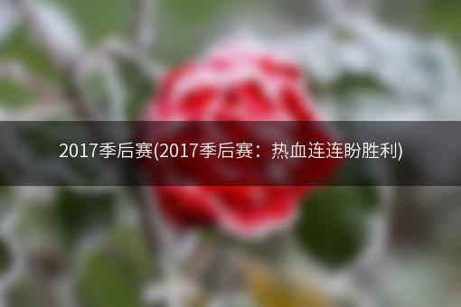 2017季后赛(2017季后赛：热血连连盼胜利)