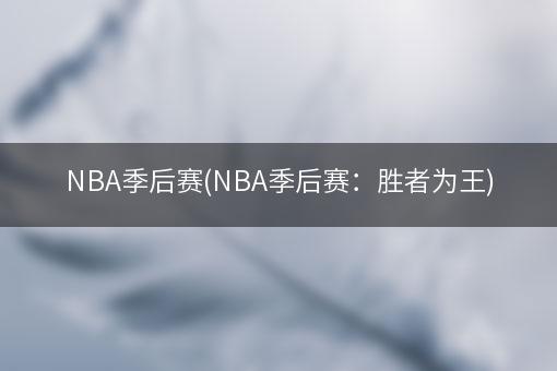 NBA季后赛(NBA季后赛：胜者为王)