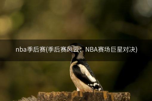 nba季后赛(季后赛风云：NBA赛场巨星对决)