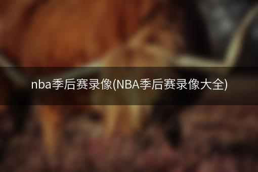 nba季后赛录像(NBA季后赛录像大全)