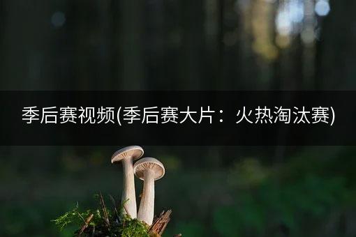 季后赛视频(季后赛大片：火热淘汰赛)