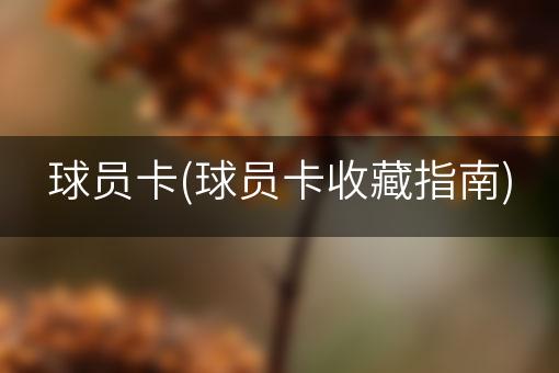 球员卡(球员卡收藏指南)