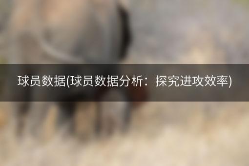 球员数据(球员数据分析：探究进攻效率)