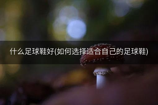 什么足球鞋好(如何选择适合自己的足球鞋)