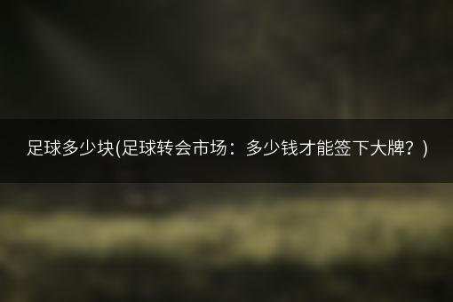 足球多少块(足球转会市场：多少钱才能签下大牌？)