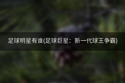 足球明星有谁(足球巨星：新一代球王争霸)