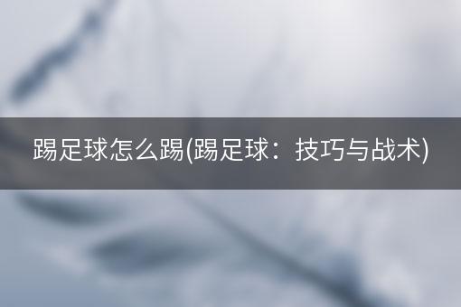 踢足球怎么踢(踢足球：技巧与战术)