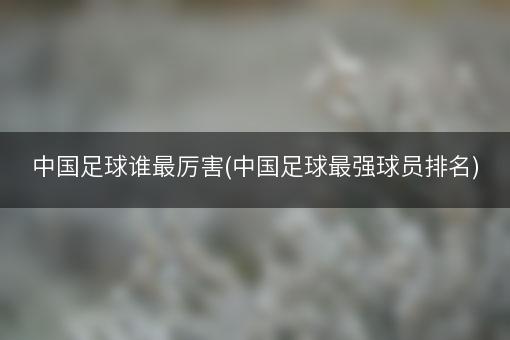 中国足球谁最厉害(中国足球最强球员排名)