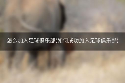 怎么加入足球俱乐部(如何成功加入足球俱乐部)