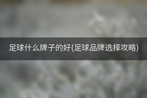 足球什么牌子的好(足球品牌选择攻略)