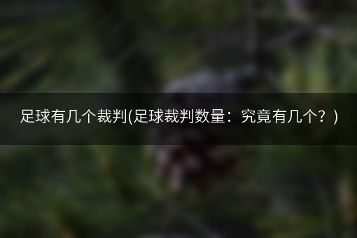 足球有几个裁判(足球裁判数量：究竟有几个？)