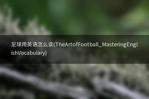 足球用英语怎么读(TheArtofFootball_MasteringEnglishVocabulary)