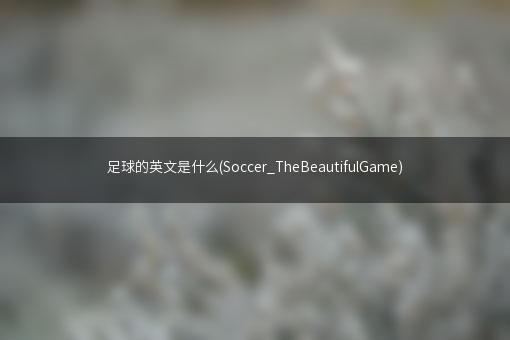 足球的英文是什么(Soccer_TheBeautifulGame)