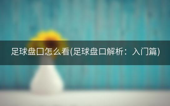 足球盘囗怎么看(足球盘口解析：入门篇)