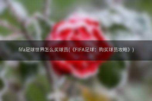 fifa足球世界怎么买球员(《FIFA足球：购买球员攻略》)